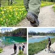 Bed & Breakfast Monarch Canmore Ngoại thất bức ảnh